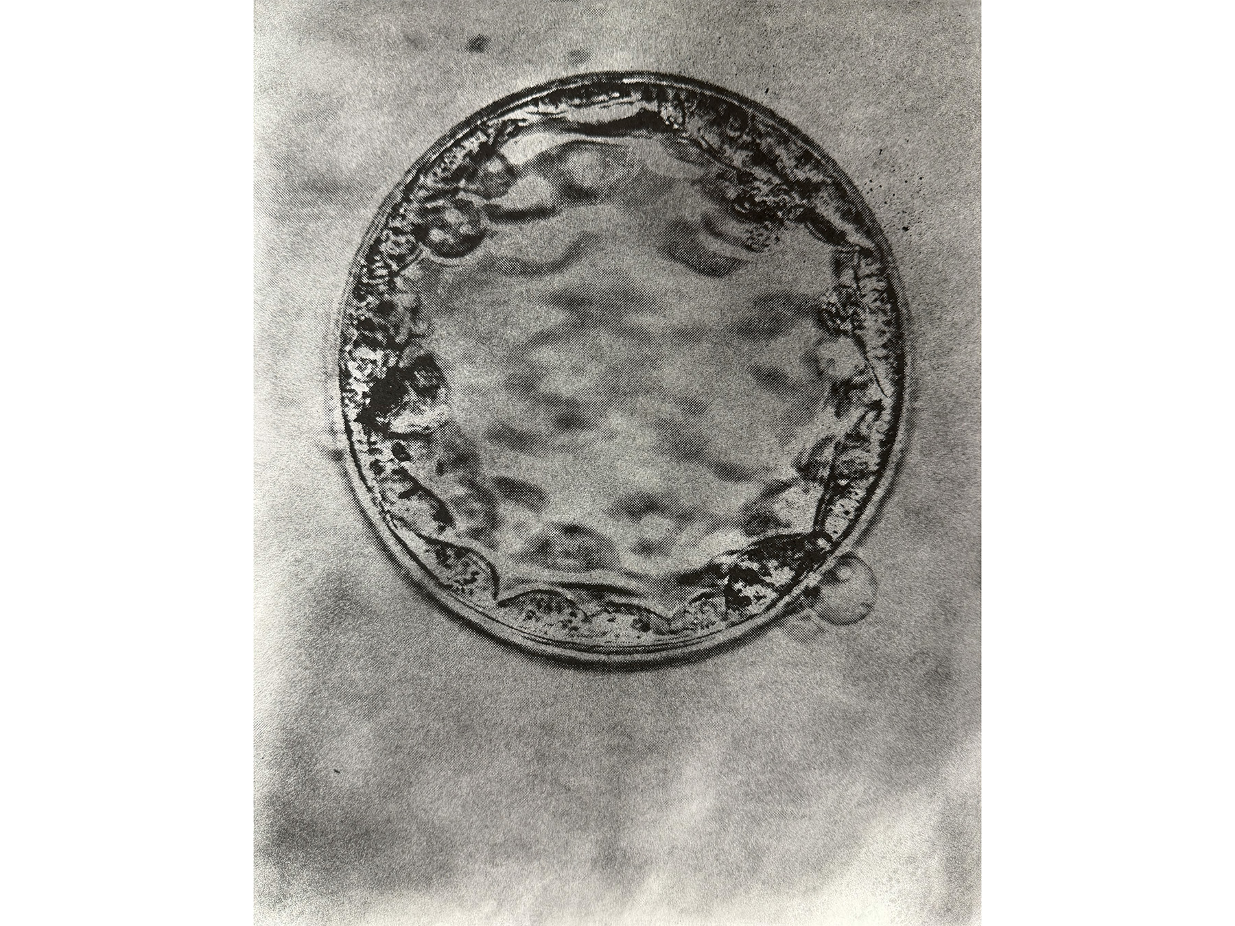 Formation: Failed - Print 7