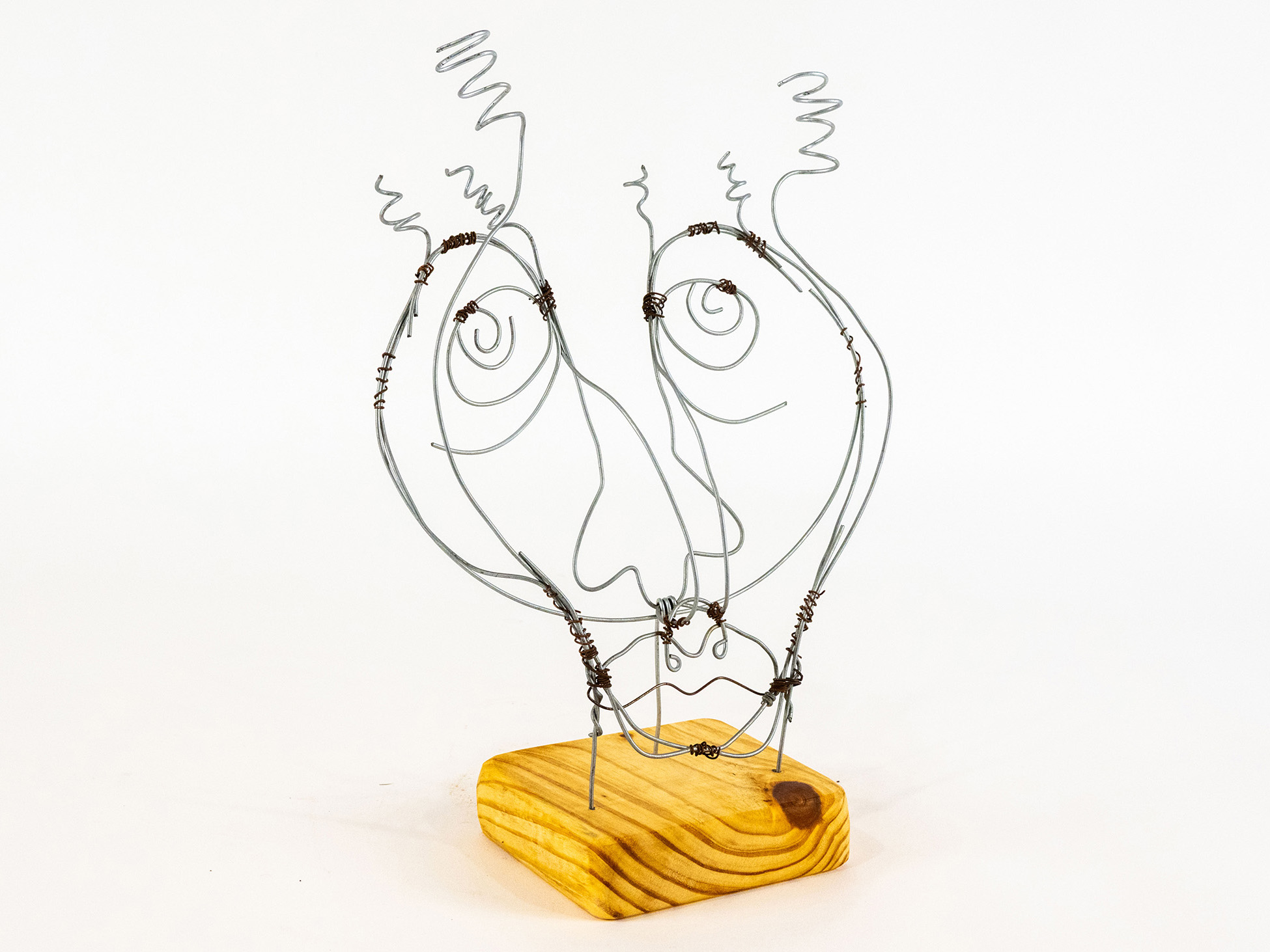 Fractured Reflection by Leah Cortez - Wire sculpture