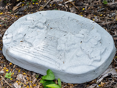 Blooming Roots by Madison Johnson