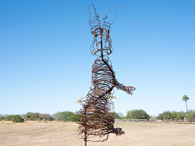 Peter the Eastern Cottontail by Floor Torres