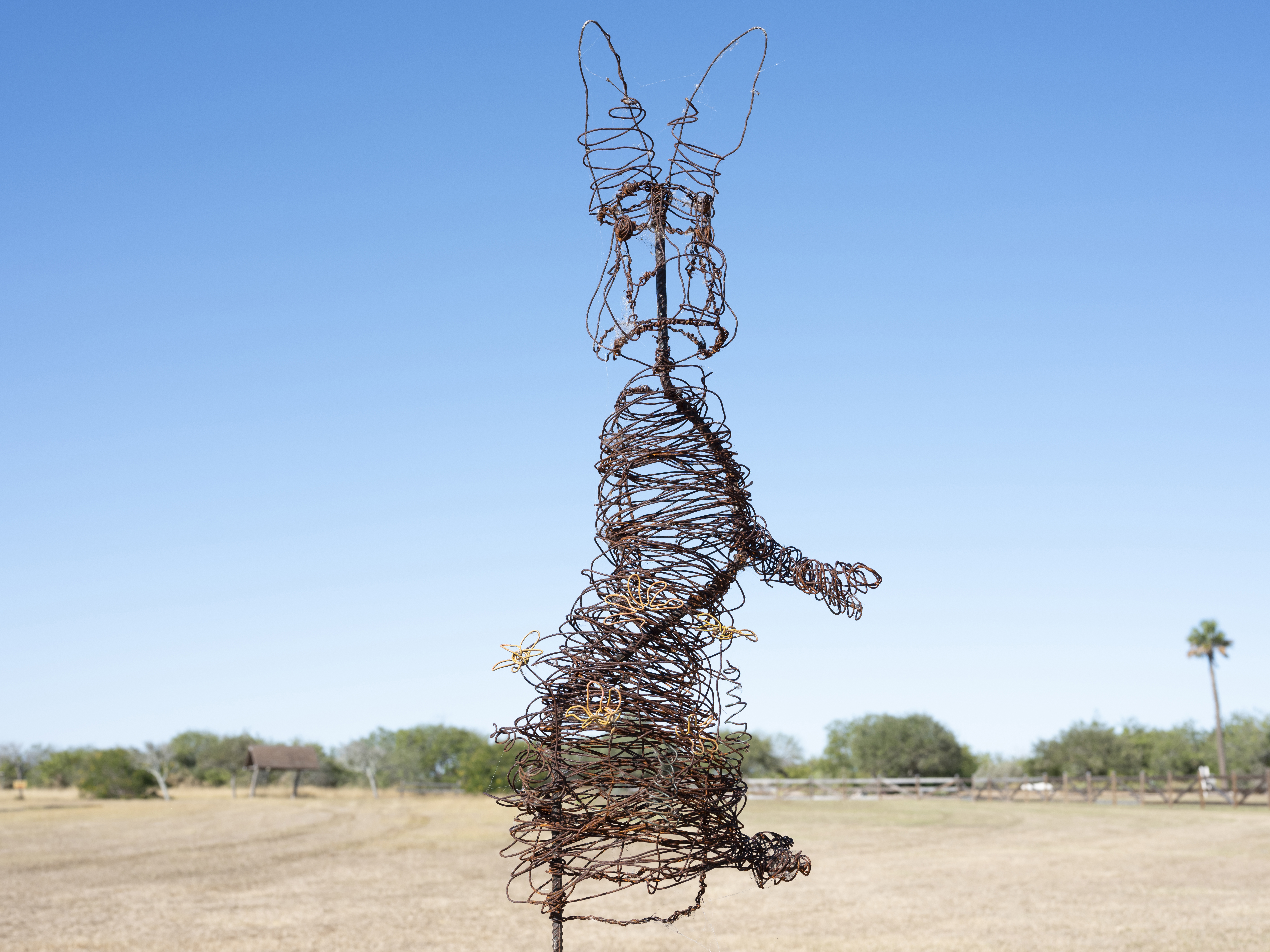 Peter the Eastern Cottontail by Floor Torres - Wire sculpture made from rebar and wire tie