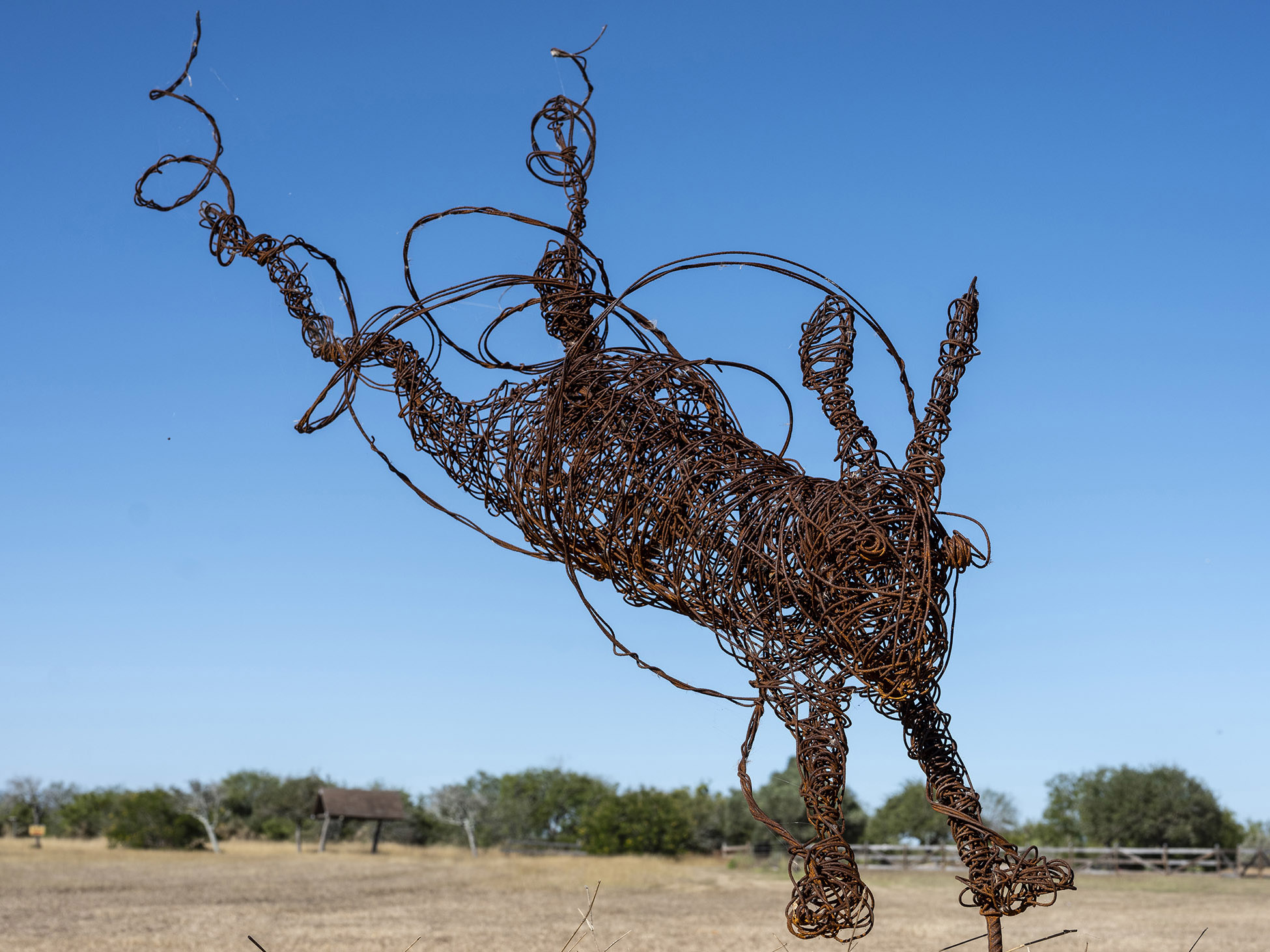 Run Rabbit Run by John Conyers - Wire sculpture made from rebar and wire tie showing a dynamic running figure against blue sky