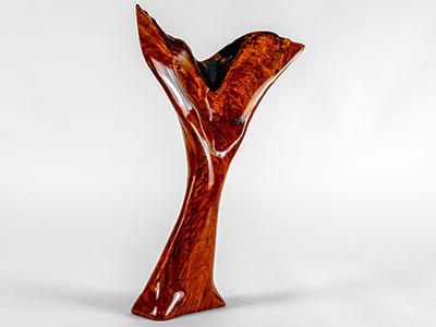 Mermaid Tail by John Conyers