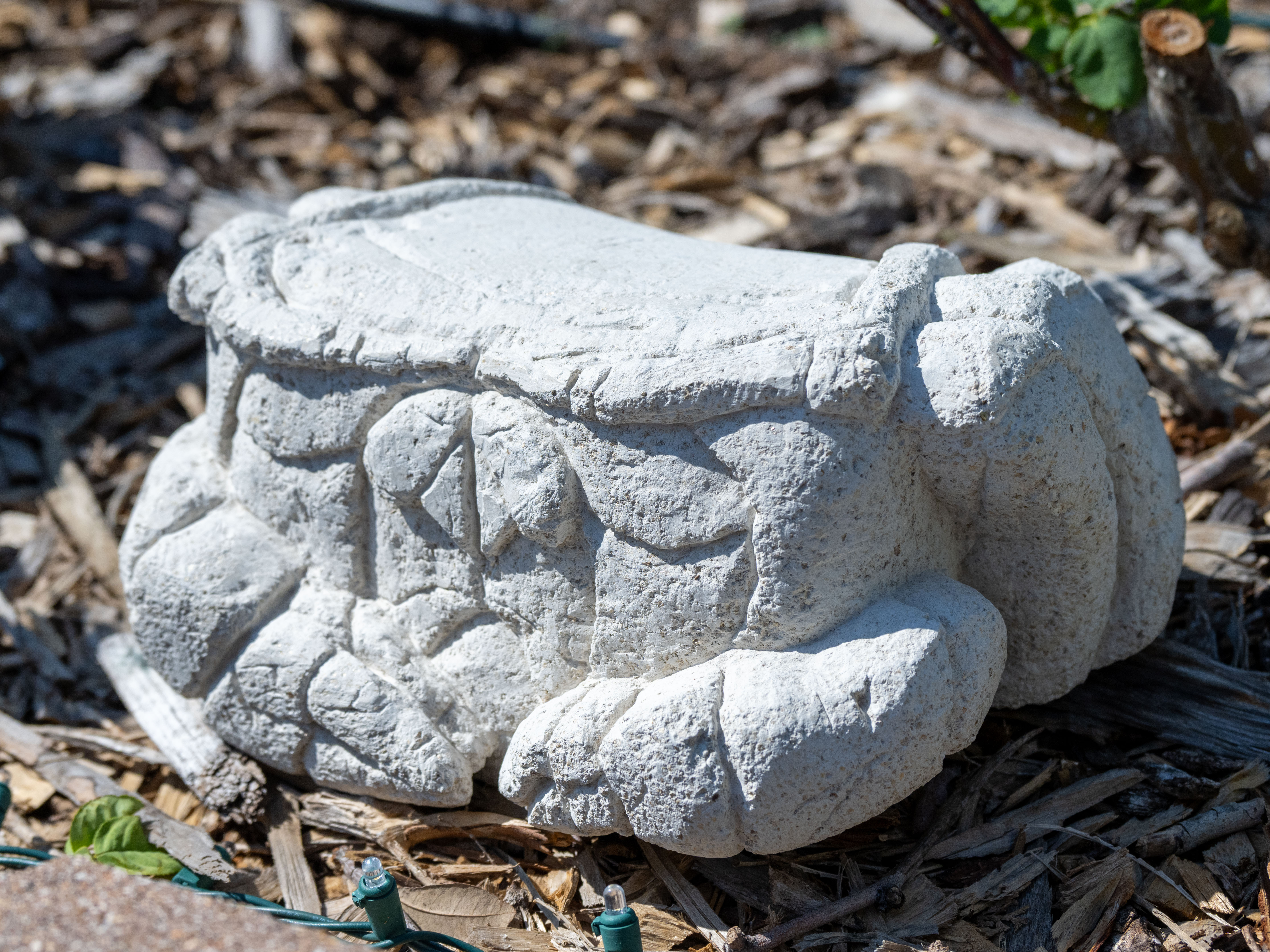 Encased by Yazmin Ortiz Colon