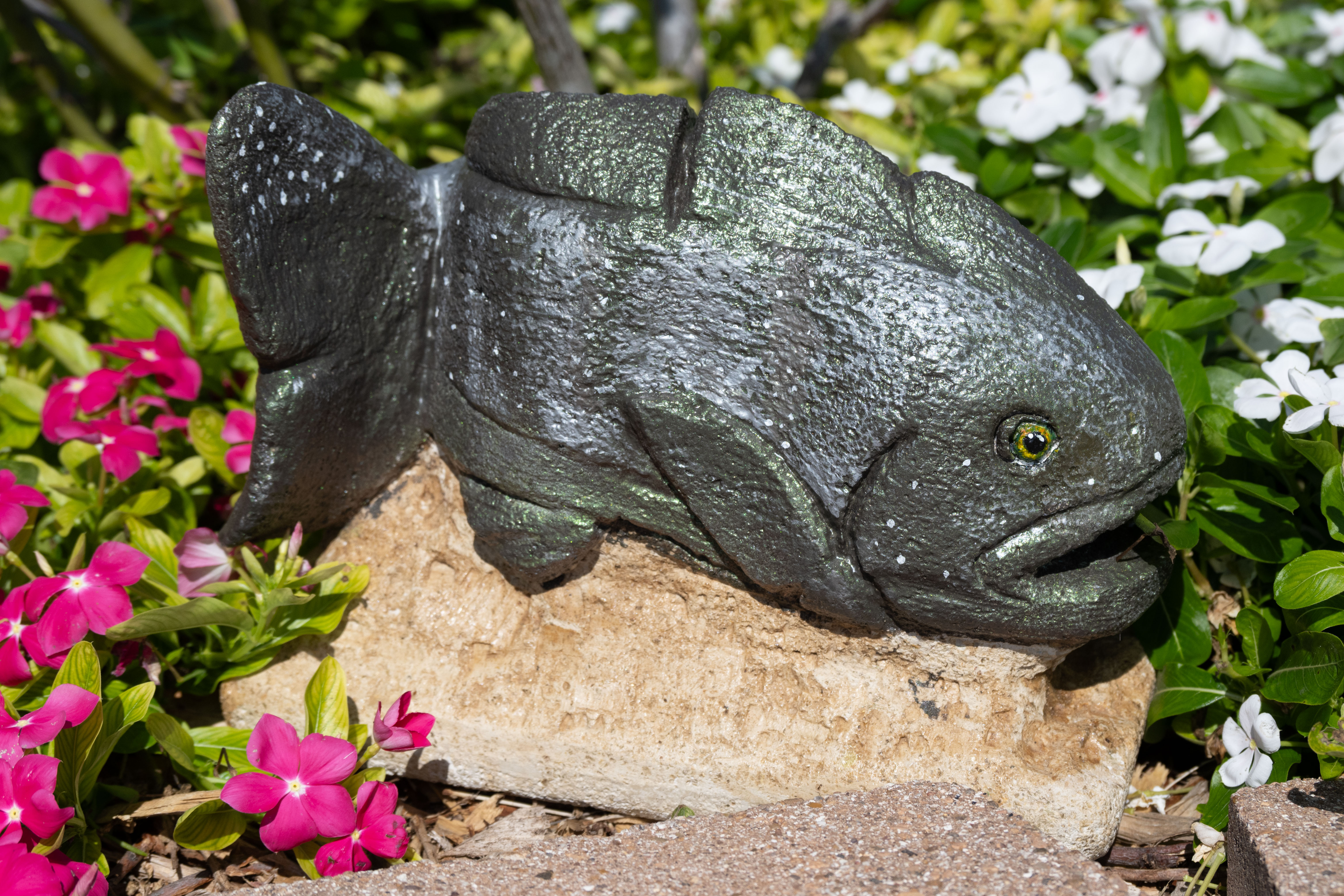 Fresh Catch by Alexandria Uresti