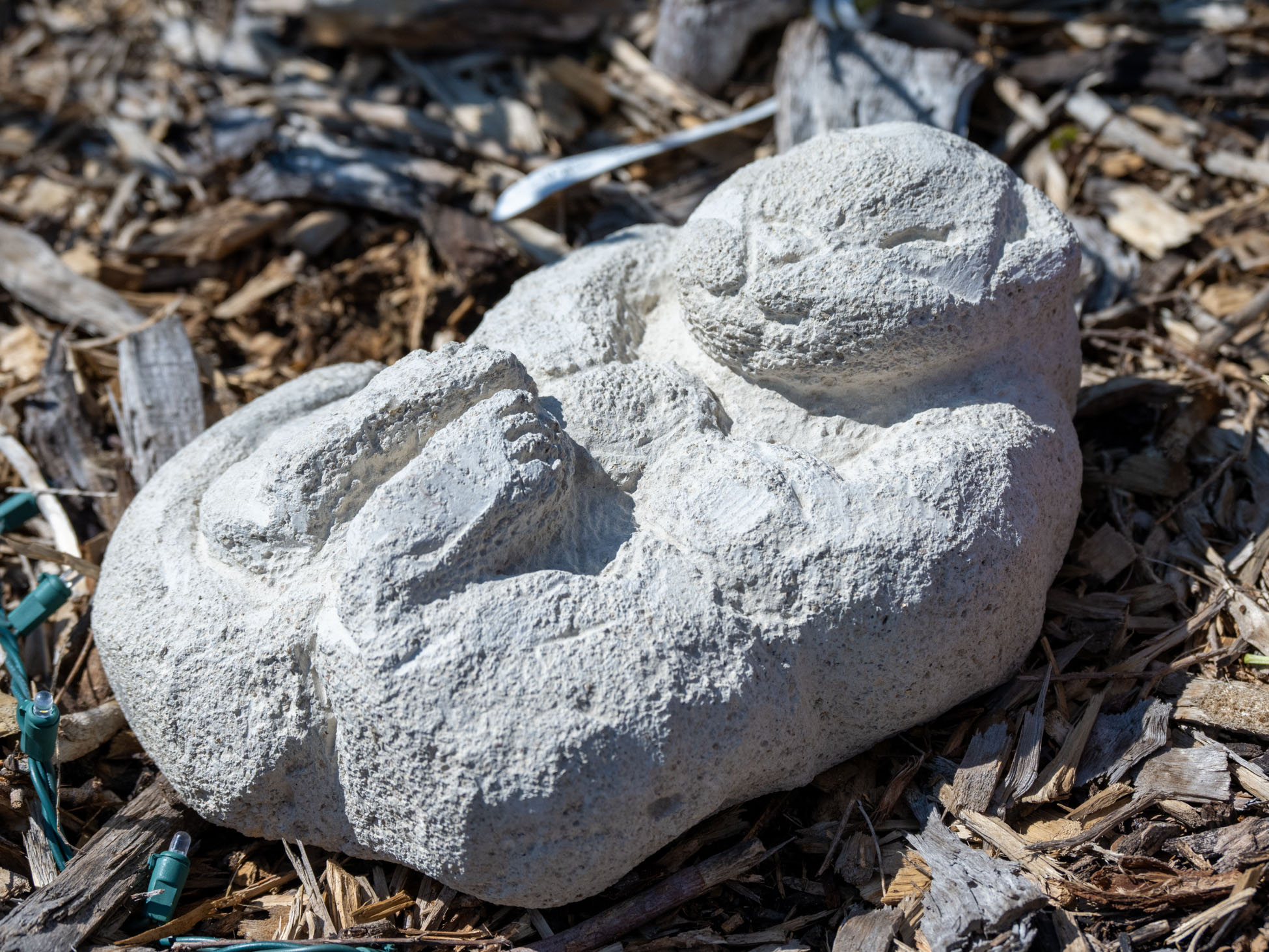 Sleeping Sea Otter Holding Its Favorite Rock by Angelina Petersen — Cement & Vermiculite